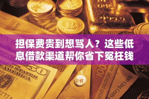北京担保费贵到想骂人？这些低息借款渠道帮你省下冤枉钱