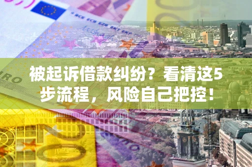 北京被起诉借款纠纷？看清这5步流程，风险自己把控！
